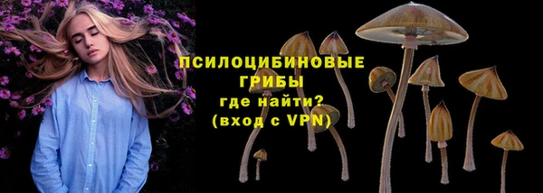 первитин Инсар