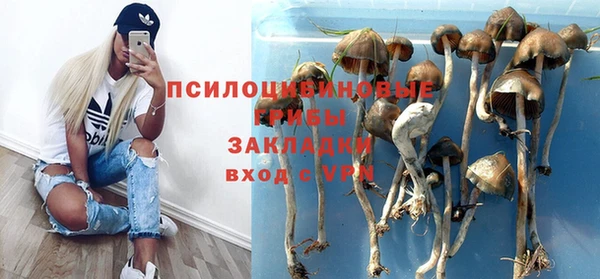 первитин Инсар