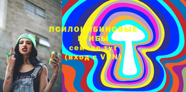 первитин Инсар