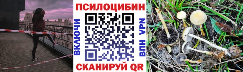 Купить где  Волгореченск  Псилоцибиновые грибы GOLDEN TEACHER 